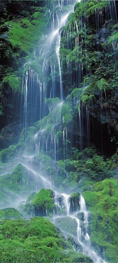 勇闯精灵大陆4