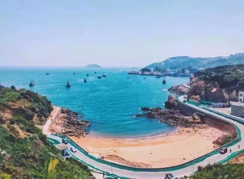 动物帮帮忙保卫家园