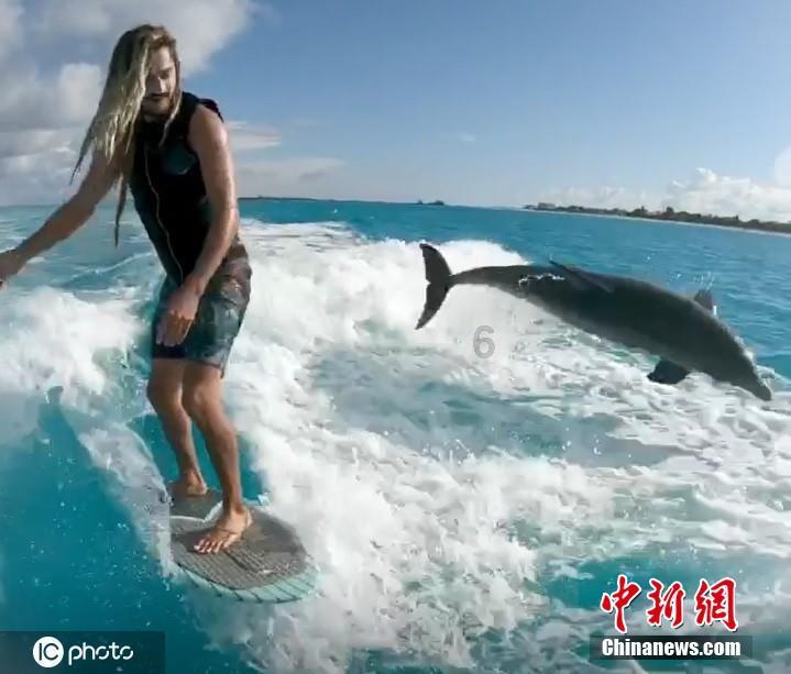 逃离泰莱森林