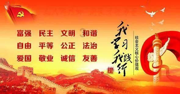 数码宝贝8