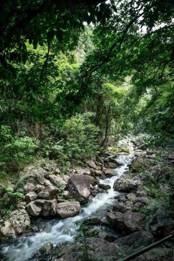 拯救精灵的土地8