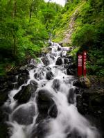 新春走基层| 降水即将来临,“头雁”新农人忙着用无人机撒小麦肥