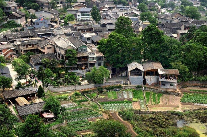 大金狮逃生
