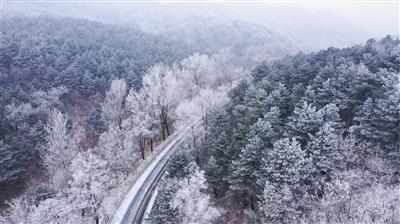 天气那么好却要上班，可惜了？游戏画面